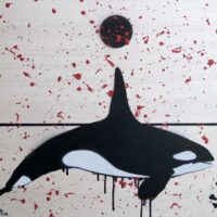 Orca700
